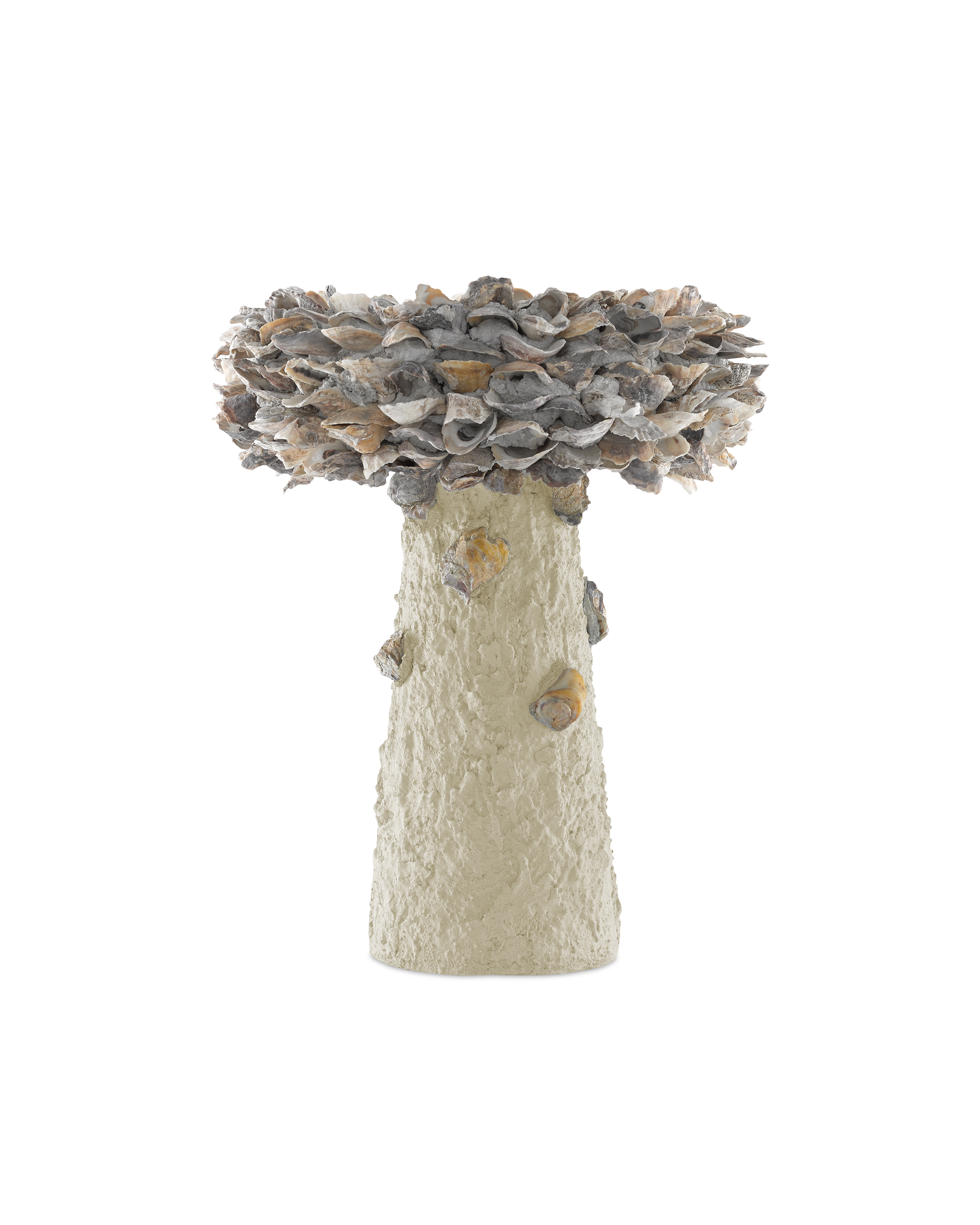 Oyster Shell Medium Bird Bath