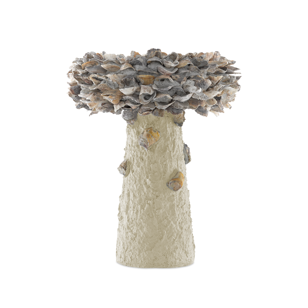 Oyster Shell Medium Bird Bath.
