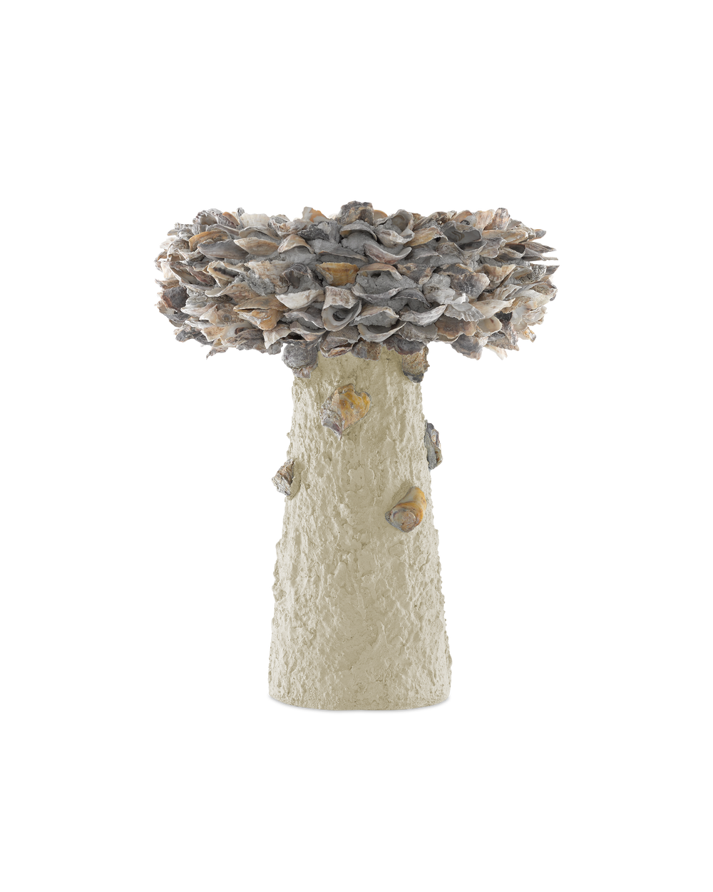 Oyster Shell Medium Bird Bath.