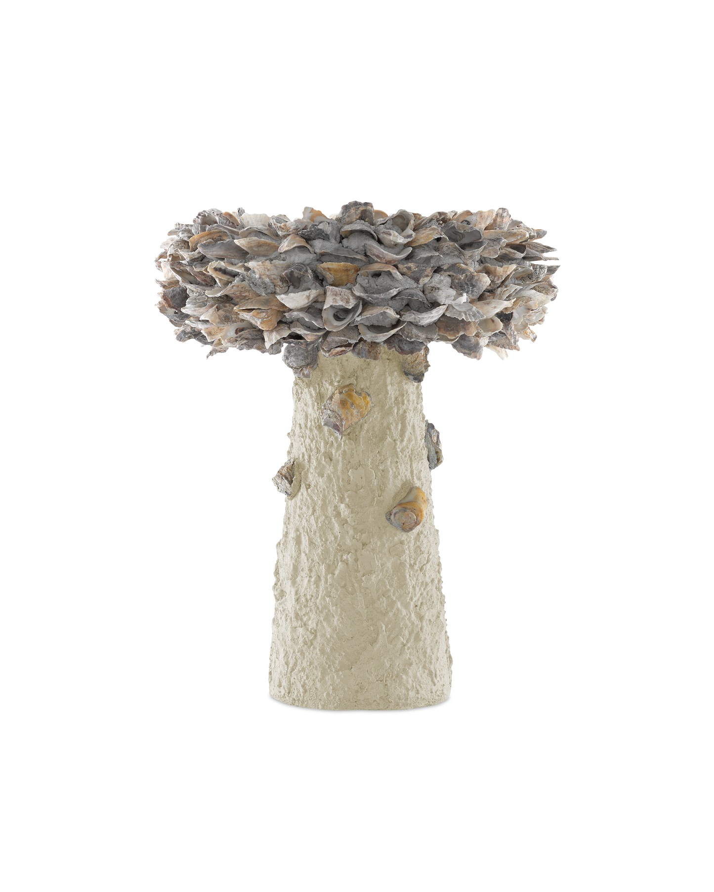 Oyster Shell Medium Bird Bath.