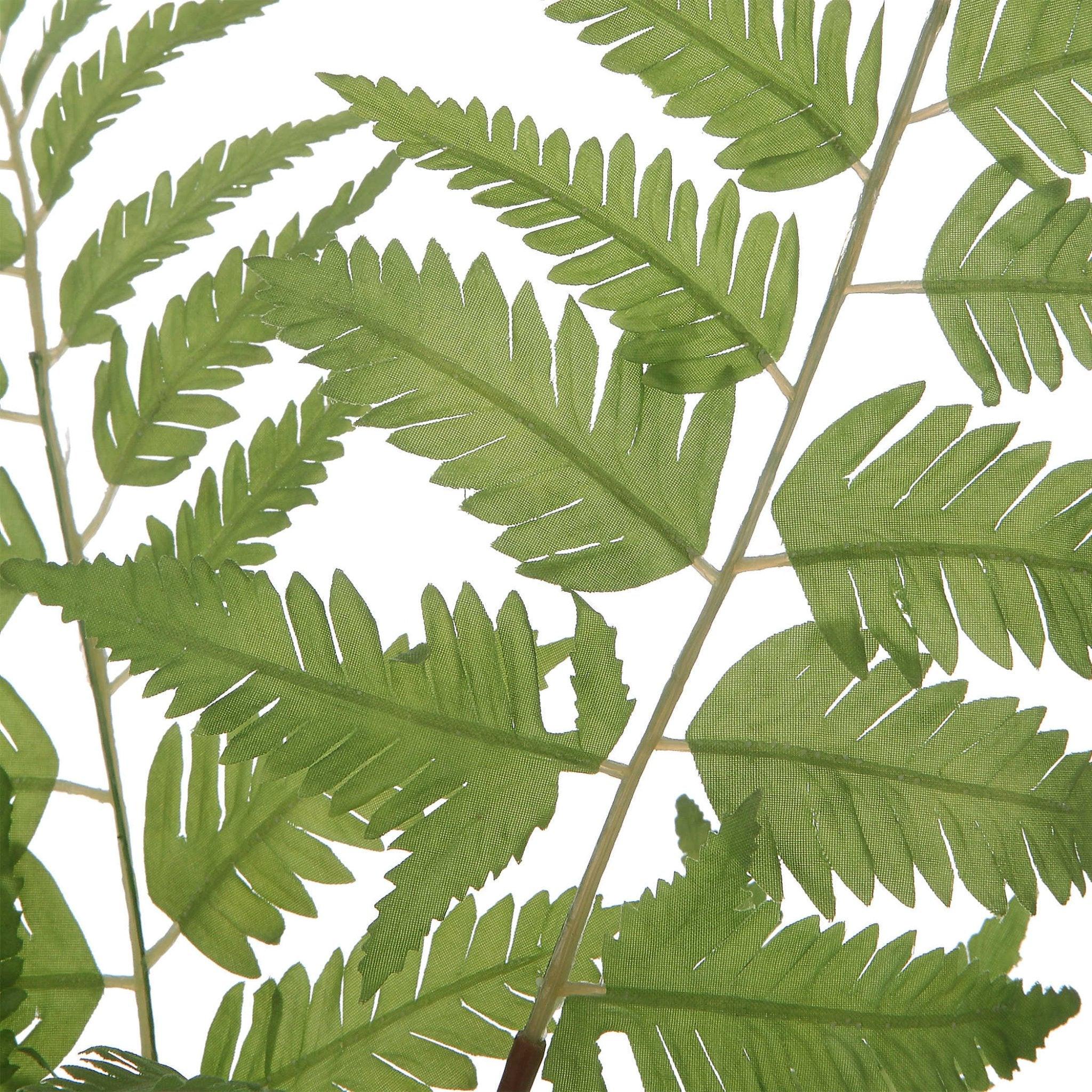Uttermost Country Ferns - Thumbnail 3