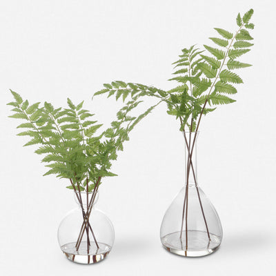 Country Ferns, Set of 2