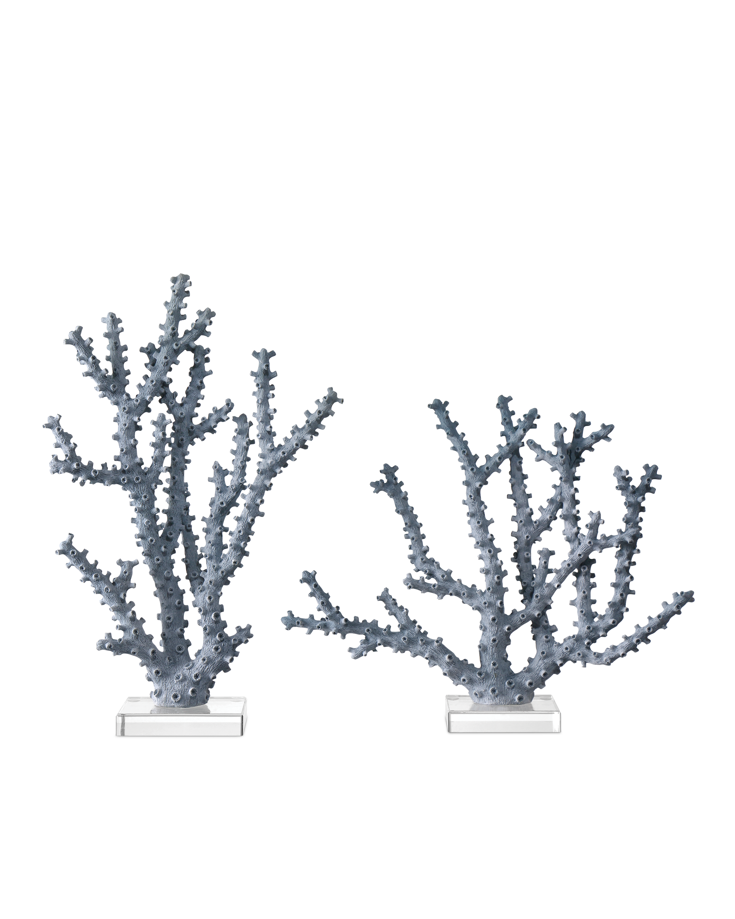 Currey & Company Coral - Thumbnail 2
