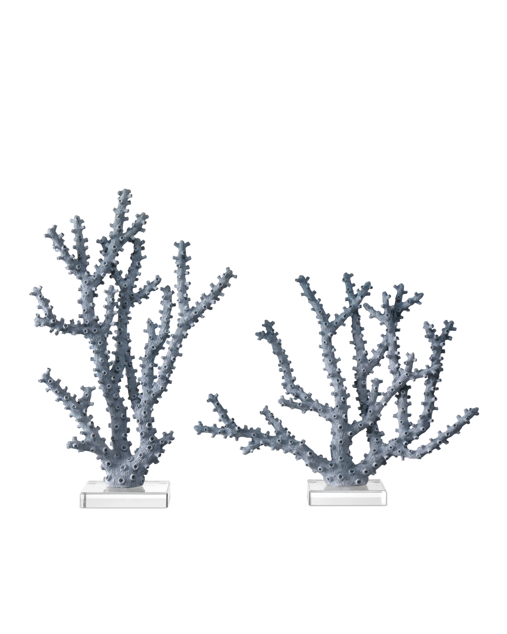 Blue Coral Set of 2.
