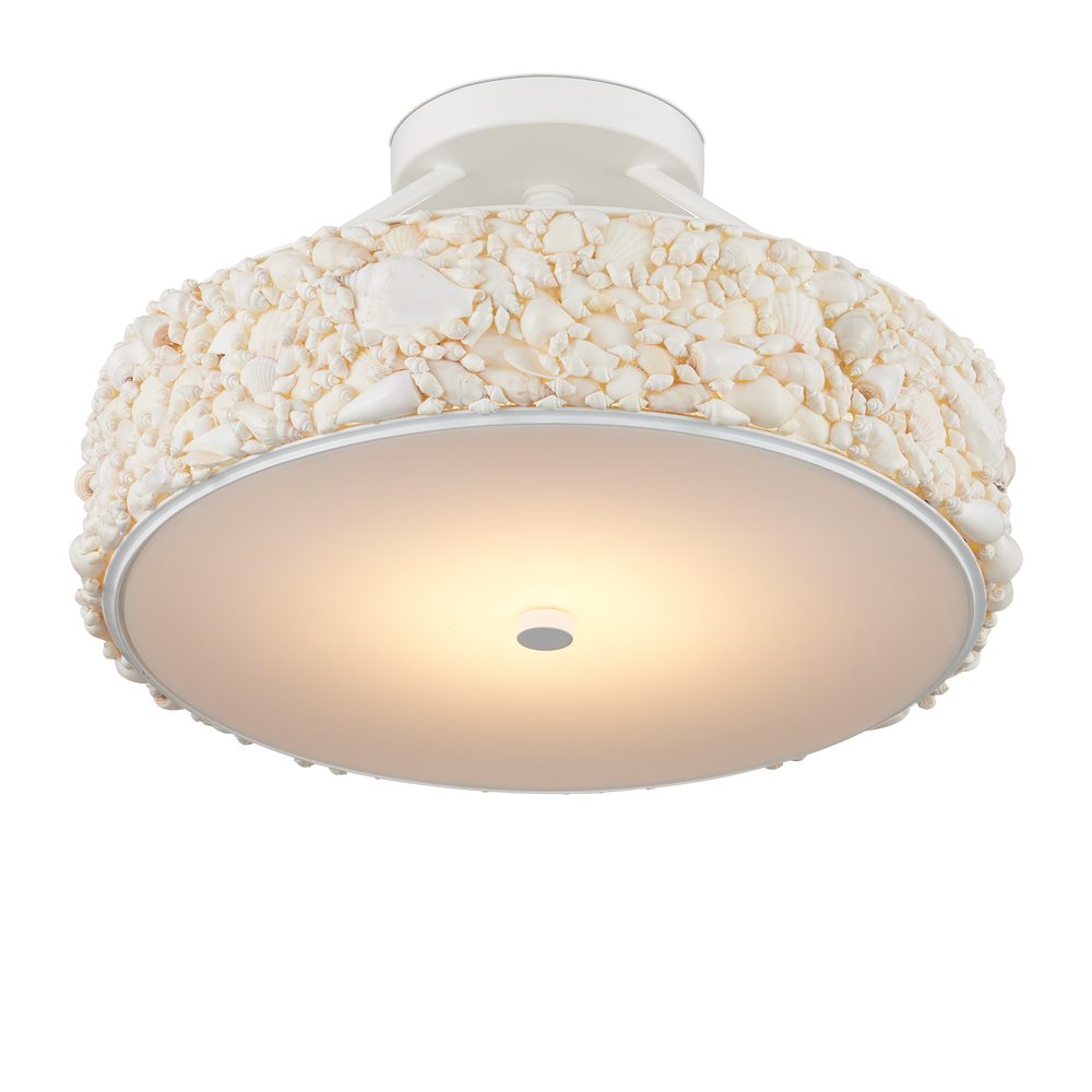 
                      
                        Turbinella Semi-Flush Mount
                      
                    