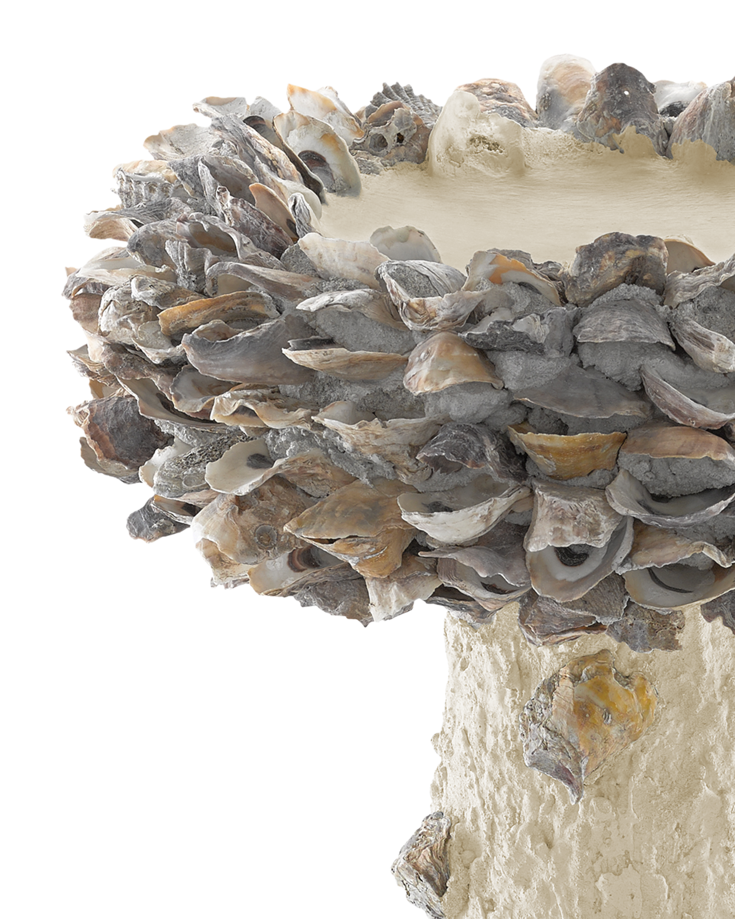 Oyster Shell Medium Bird Bath - Thumbnail 3