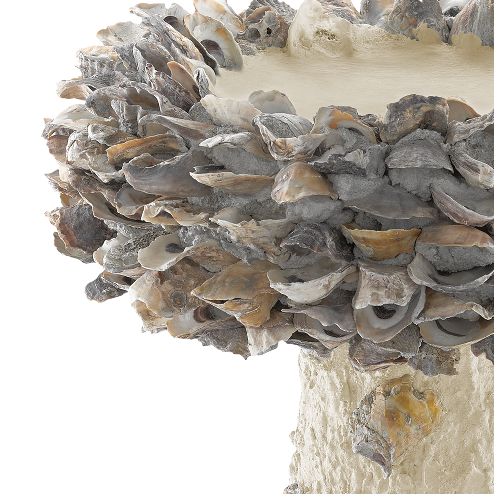 Oyster Shell Medium Bird Bath.