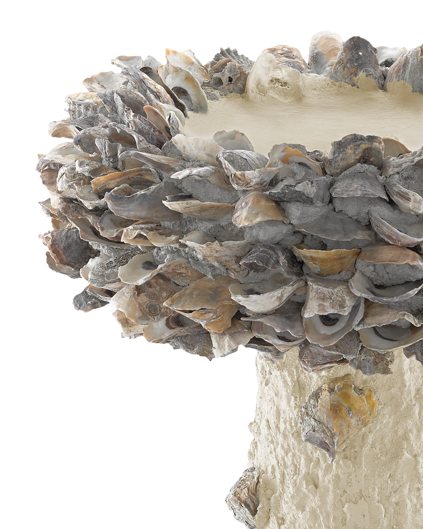 Oyster Shell Medium Bird Bath.