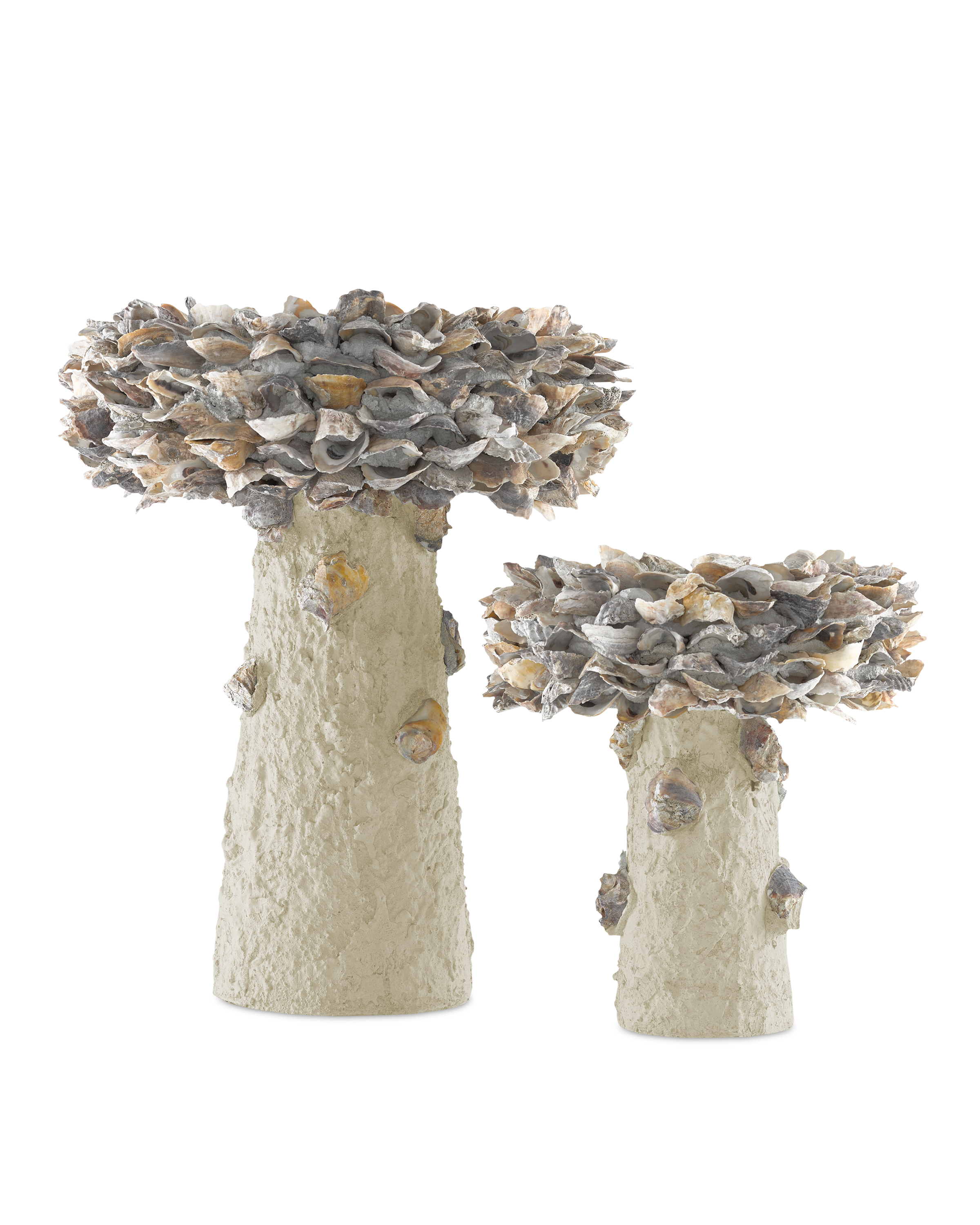 Oyster Shell Small Bird Bath