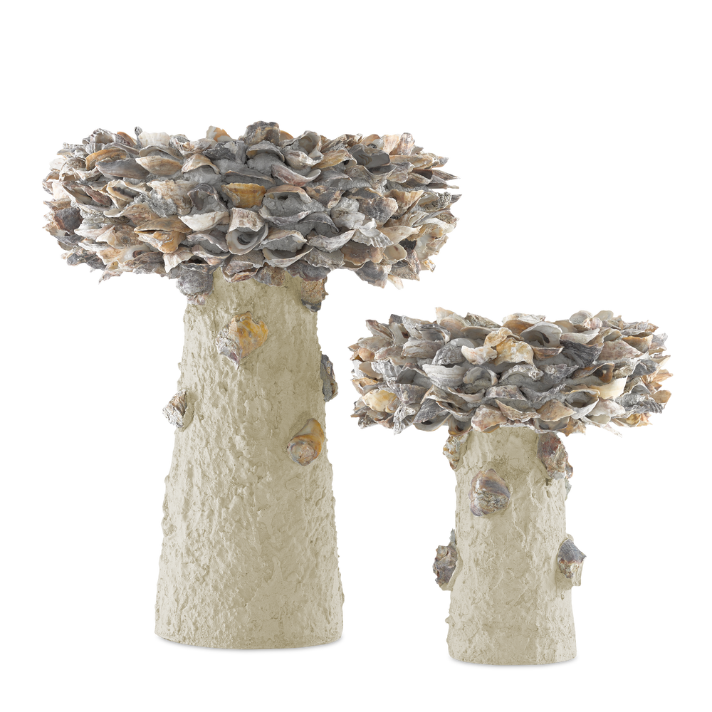 
                      
                        Oyster Shell Small Bird Bath.
                      
                    