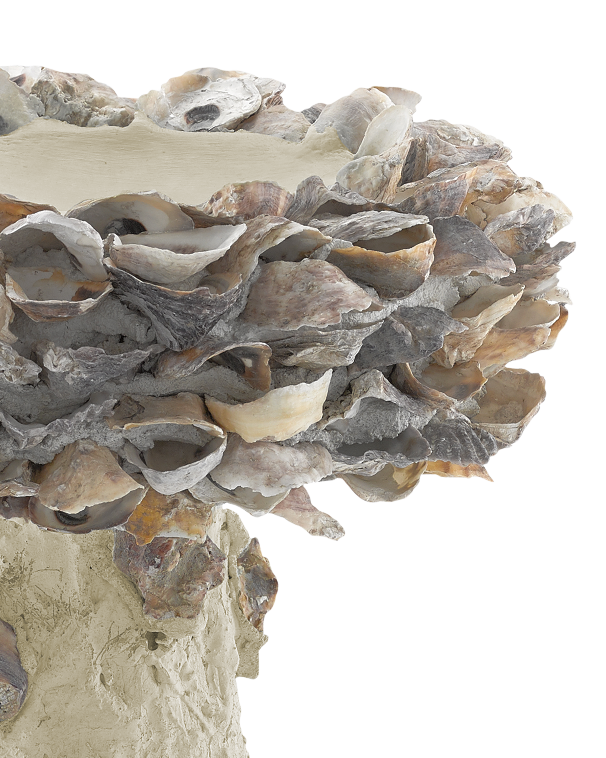 Oyster Shell Small Bird Bath - Thumbnail 5