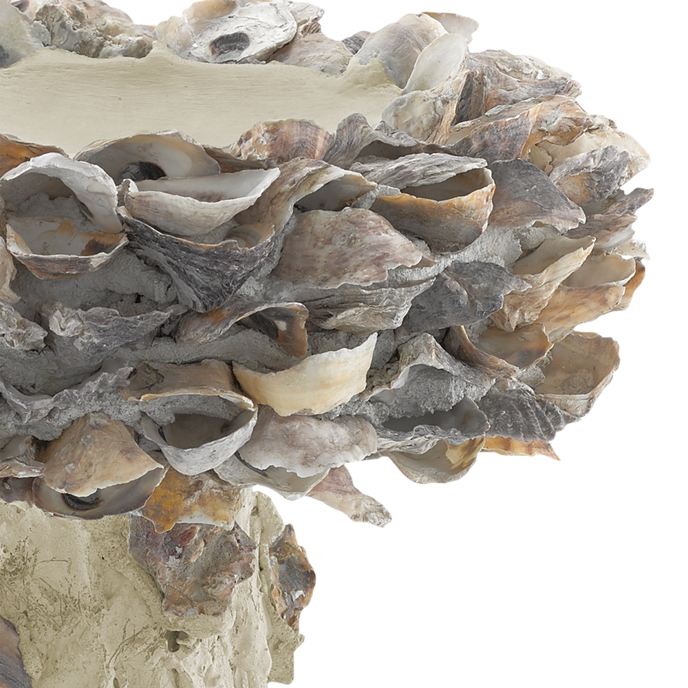 Oyster Shell Small Bird Bath.