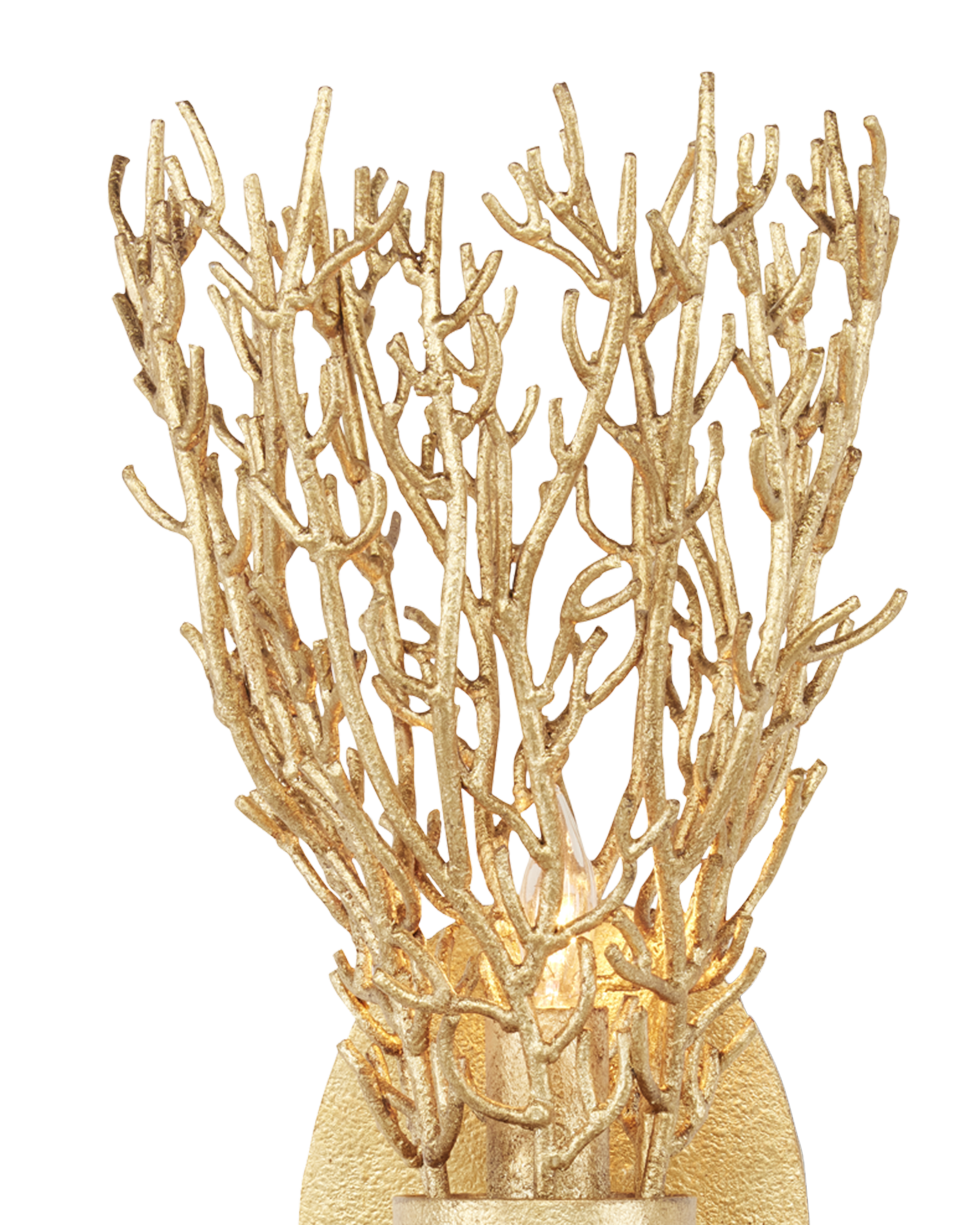 Sea Fan Gold Wall Sconce - Thumbnail 3