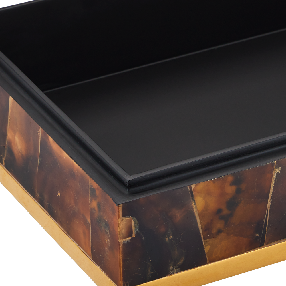 
                      
                        Casey Brown Box.
                      
                    