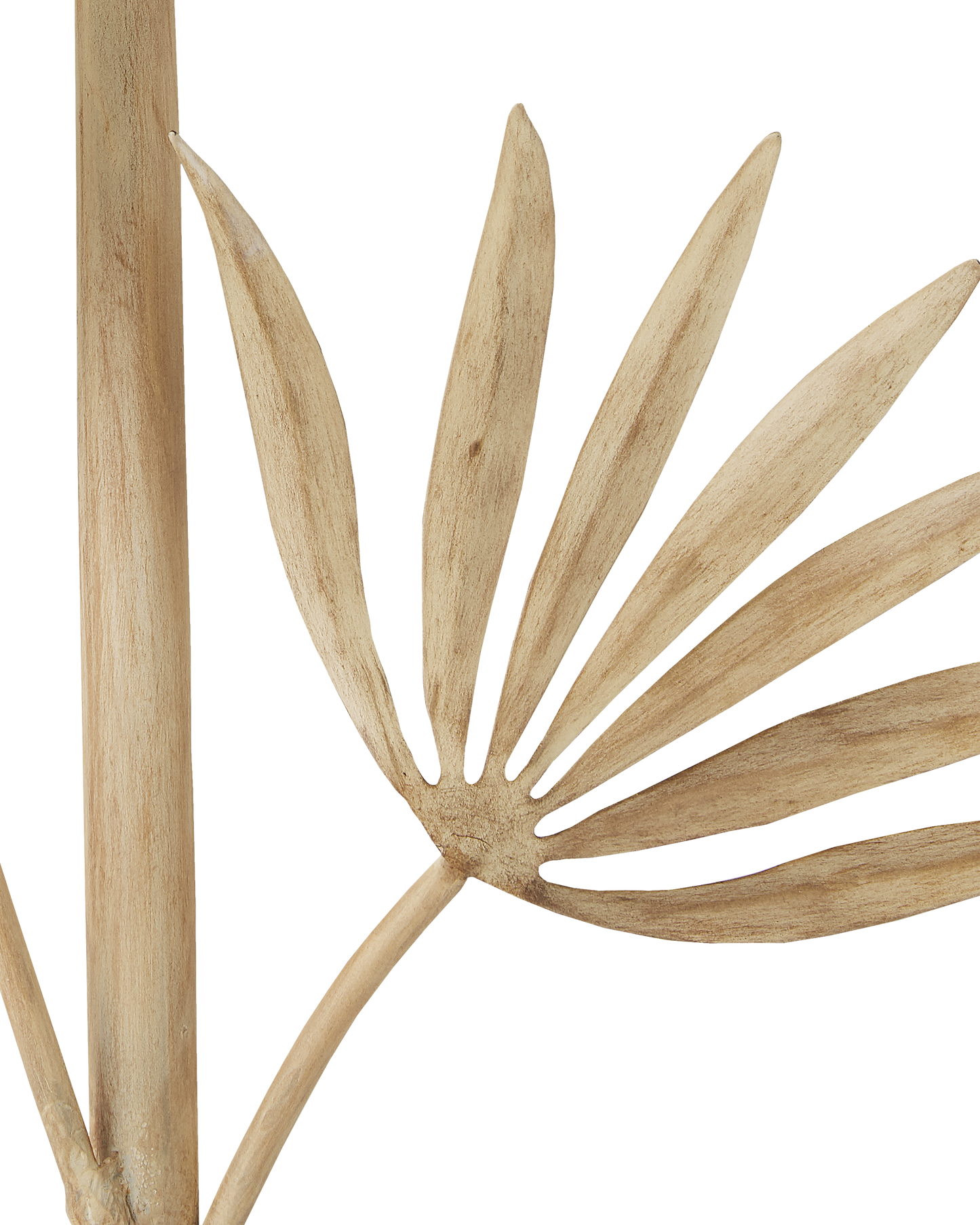 Calliope Coco Cream Wall Sconce
