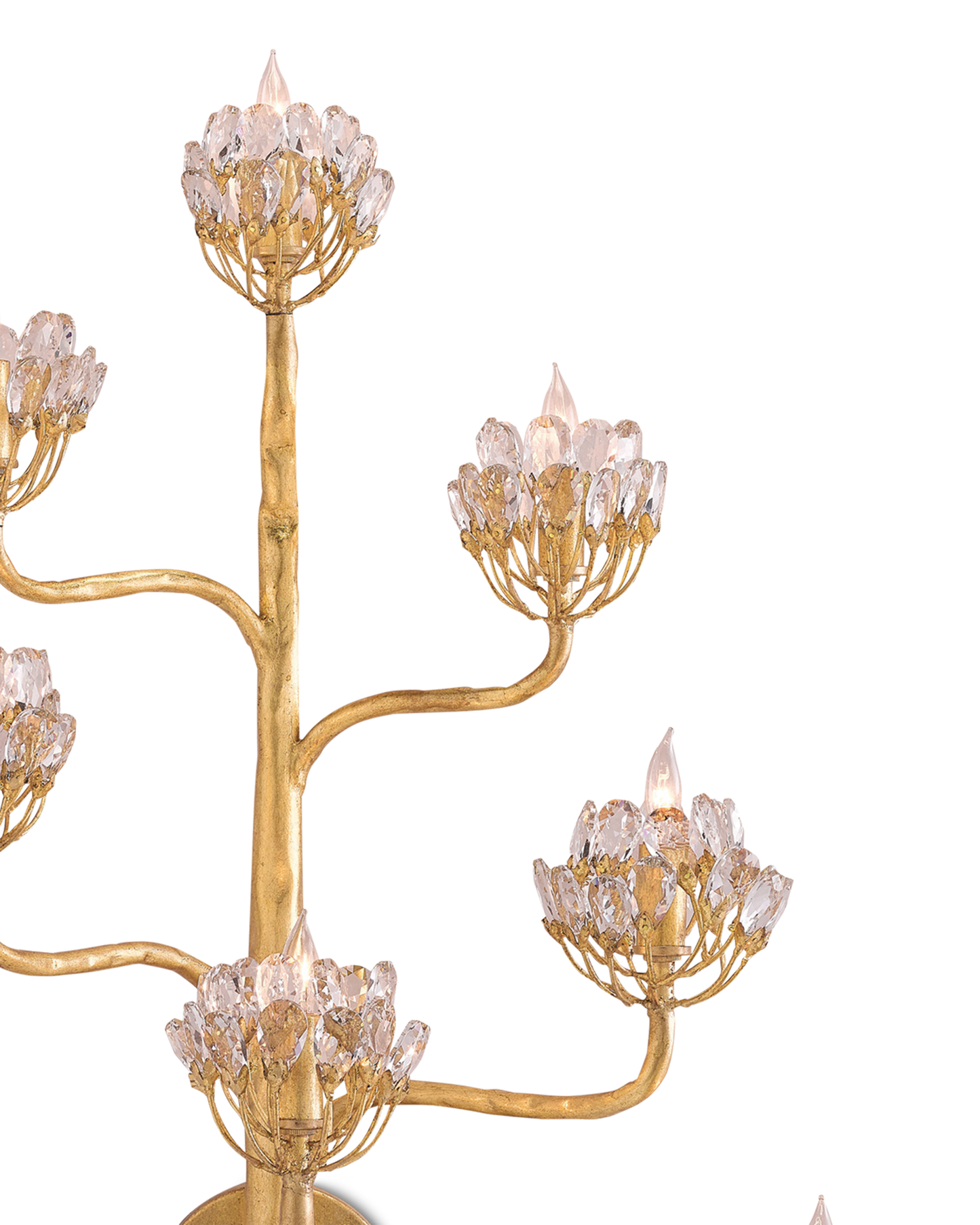 Agave Americana Gold Wall Sconce