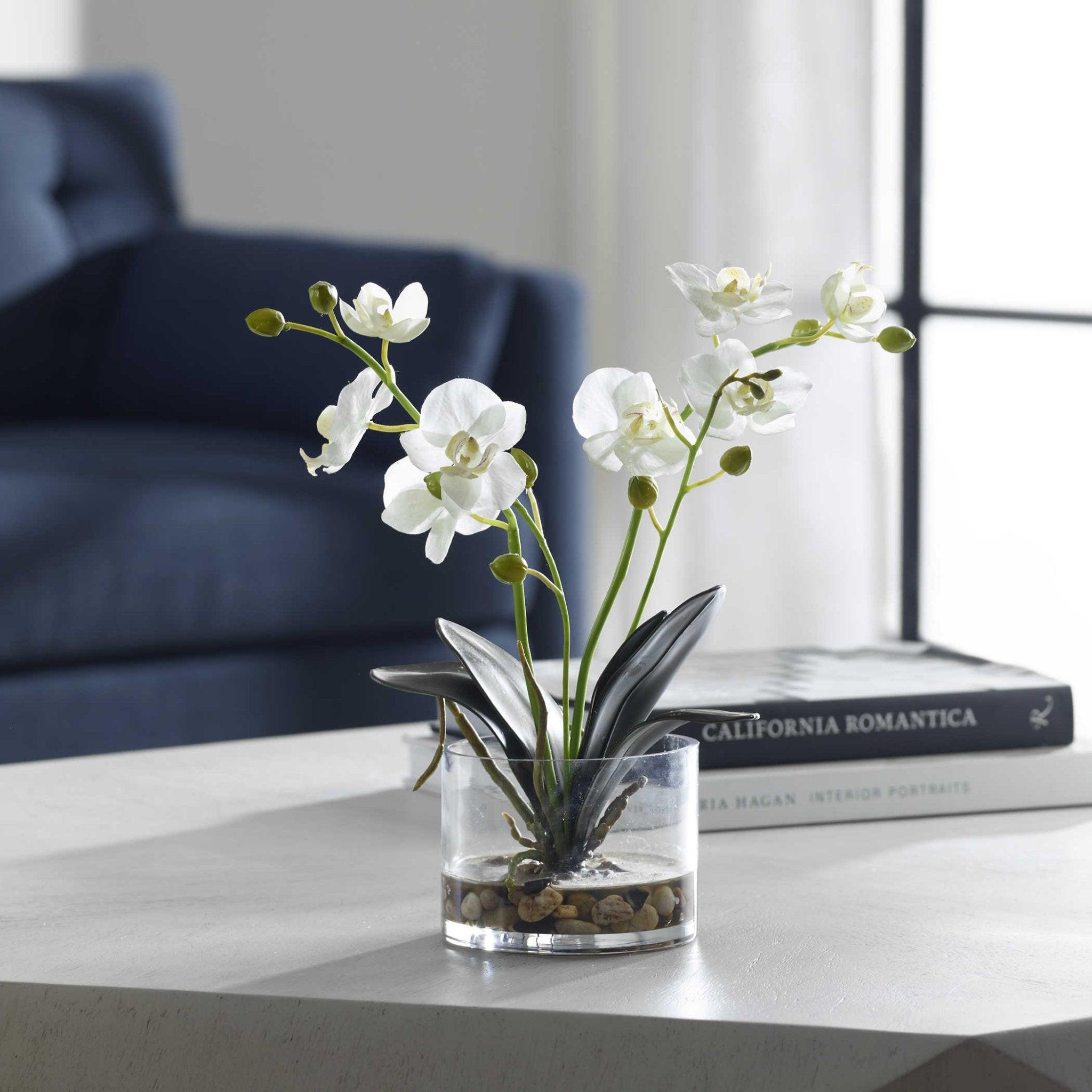 Uttermost Glory Orchid - Thumbnail 4