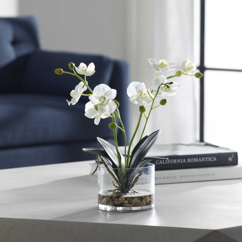 
                      
                        Glory Orchid - #shop_name Accessories, Accent Decor
                      
                    