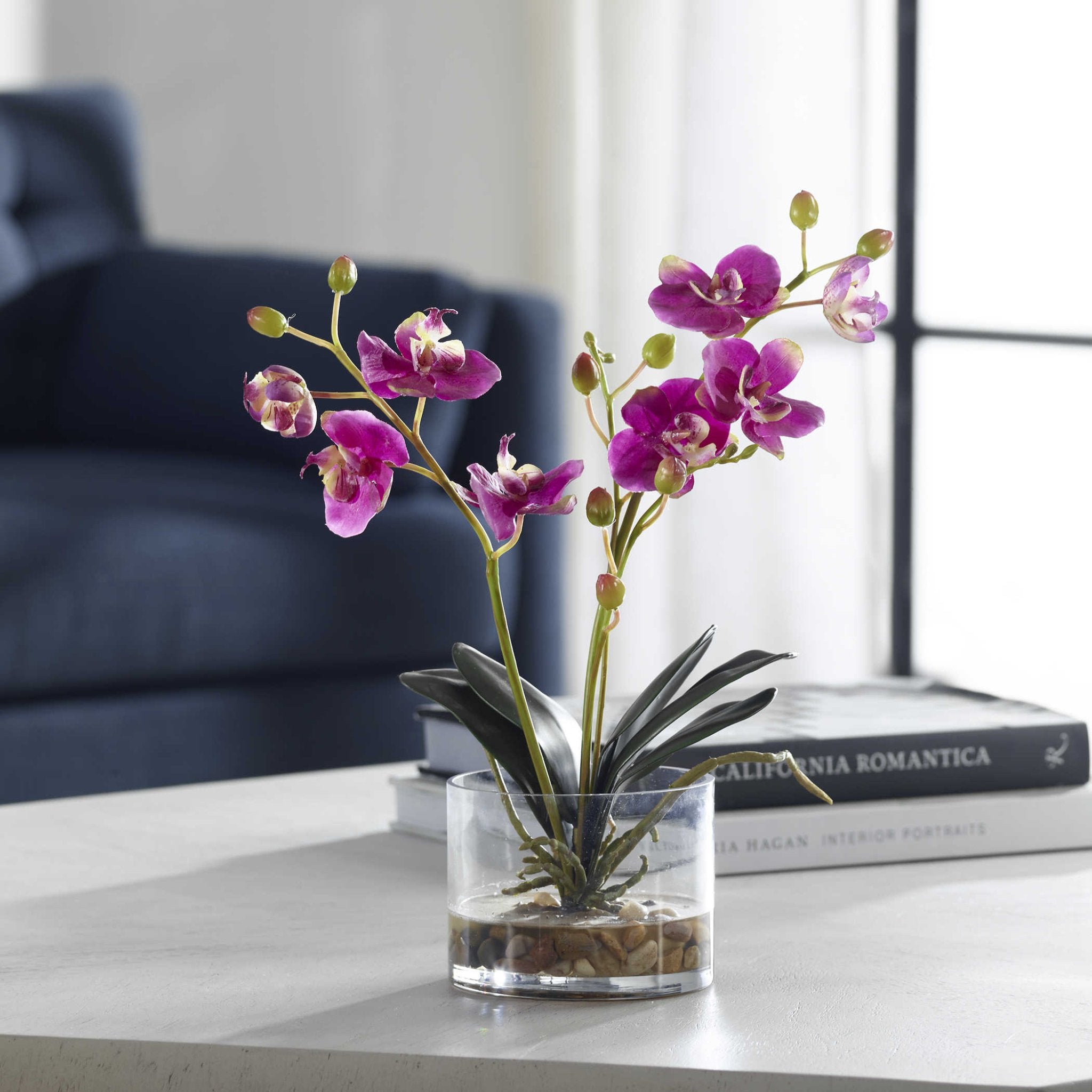 Uttermost Glory Orchid - Thumbnail 5
