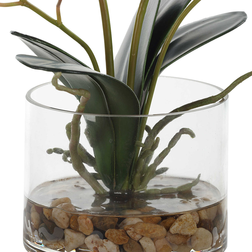 
                      
                        Glory Orchid - #shop_name Accessories, Accent Decor
                      
                    