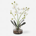 Glory Orchid - #shop_name Accessories, Accent Decor