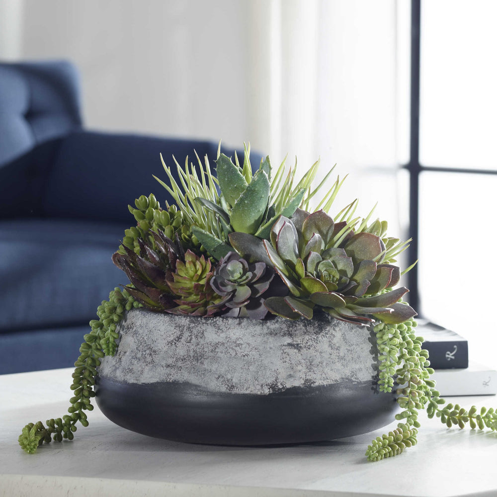 
                      
                        Gobi Succulents Centerpiece - #shop_name Accessories, Accent Decor
                      
                    