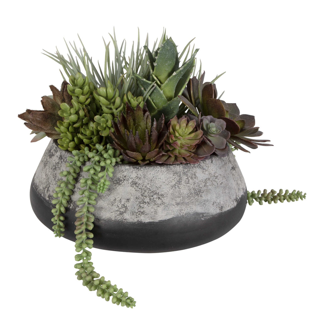 Gobi Succulents Centerpiece - #shop_name Accessories, Accent Decor