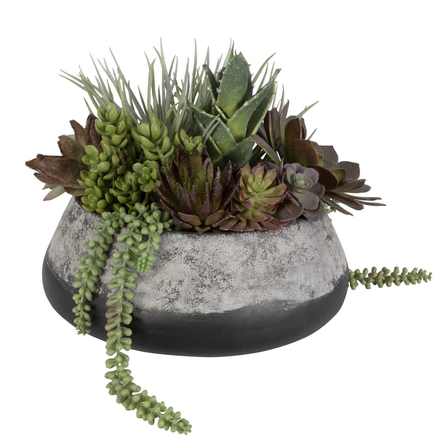Gobi Succulents Centerpiece - #shop_name Accessories, Accent Decor
