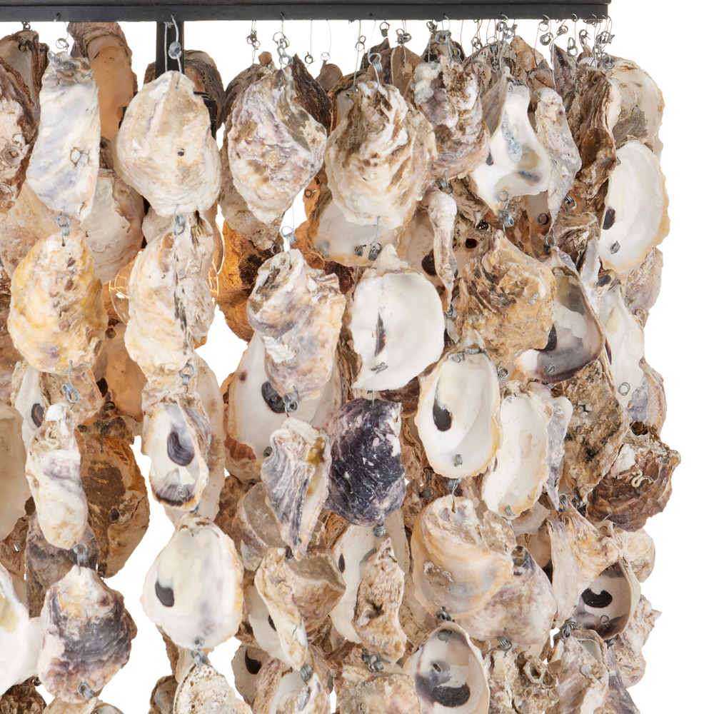 Stillwater Oyster Shell Oval Chandelier