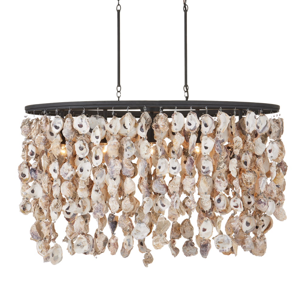 Stillwater Oyster Shell Oval Chandelier