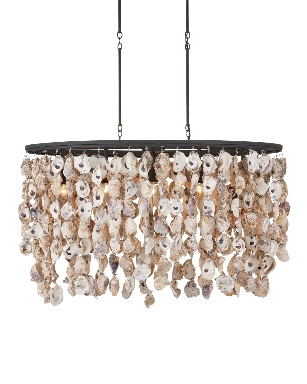 Stillwater Oyster Shell Oval Chandelier