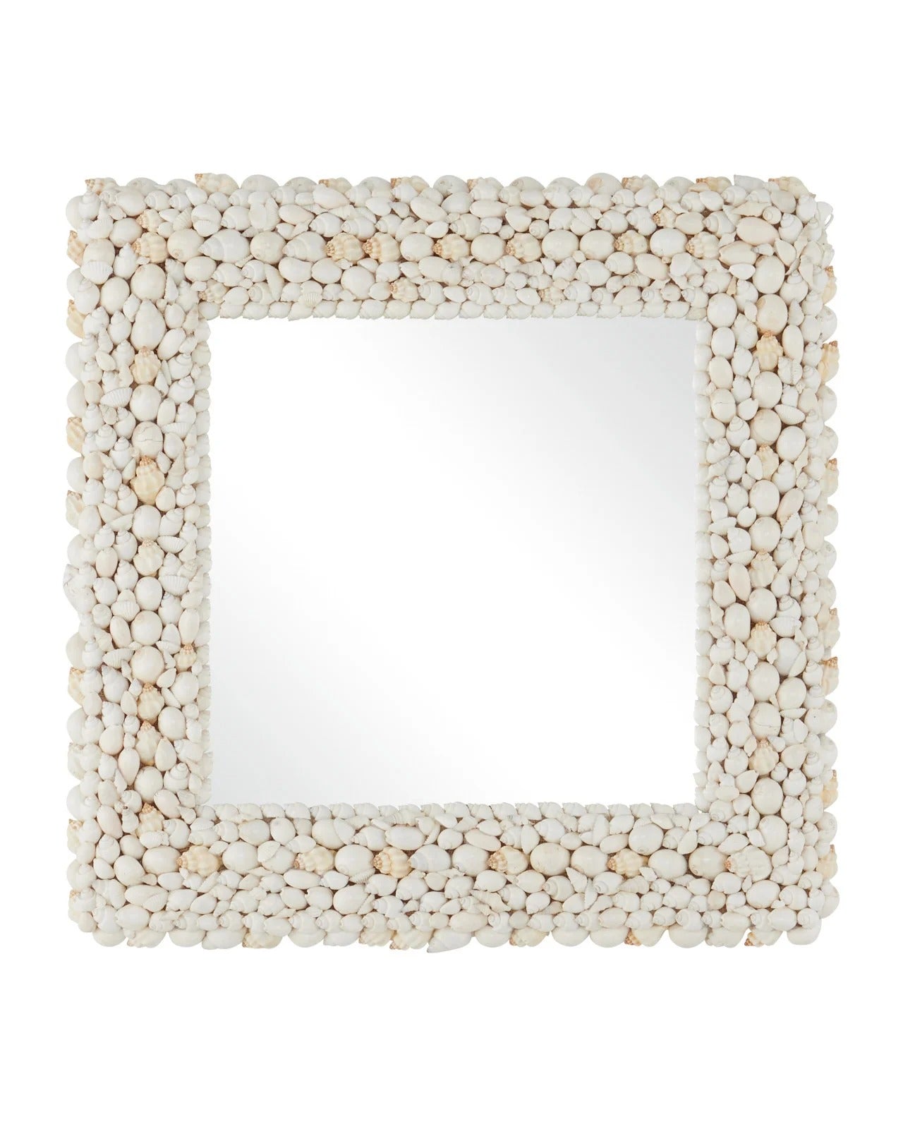 Currey & Company Piddock Mirror