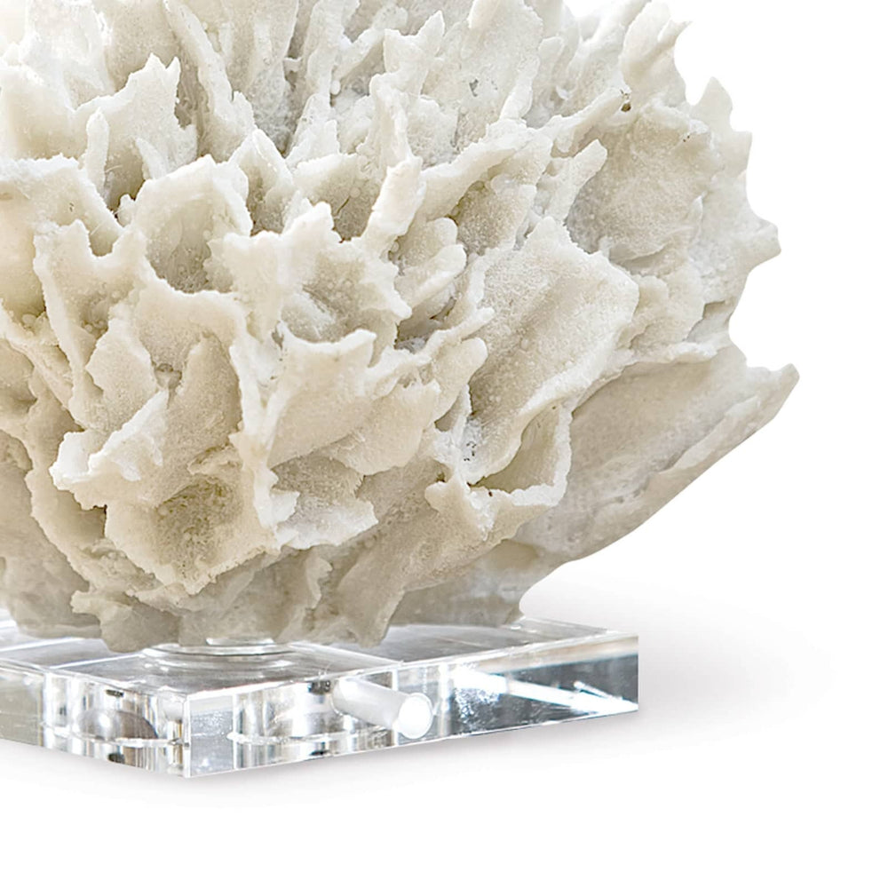 
                      
                        Ribbon Coral (White).
                      
                    