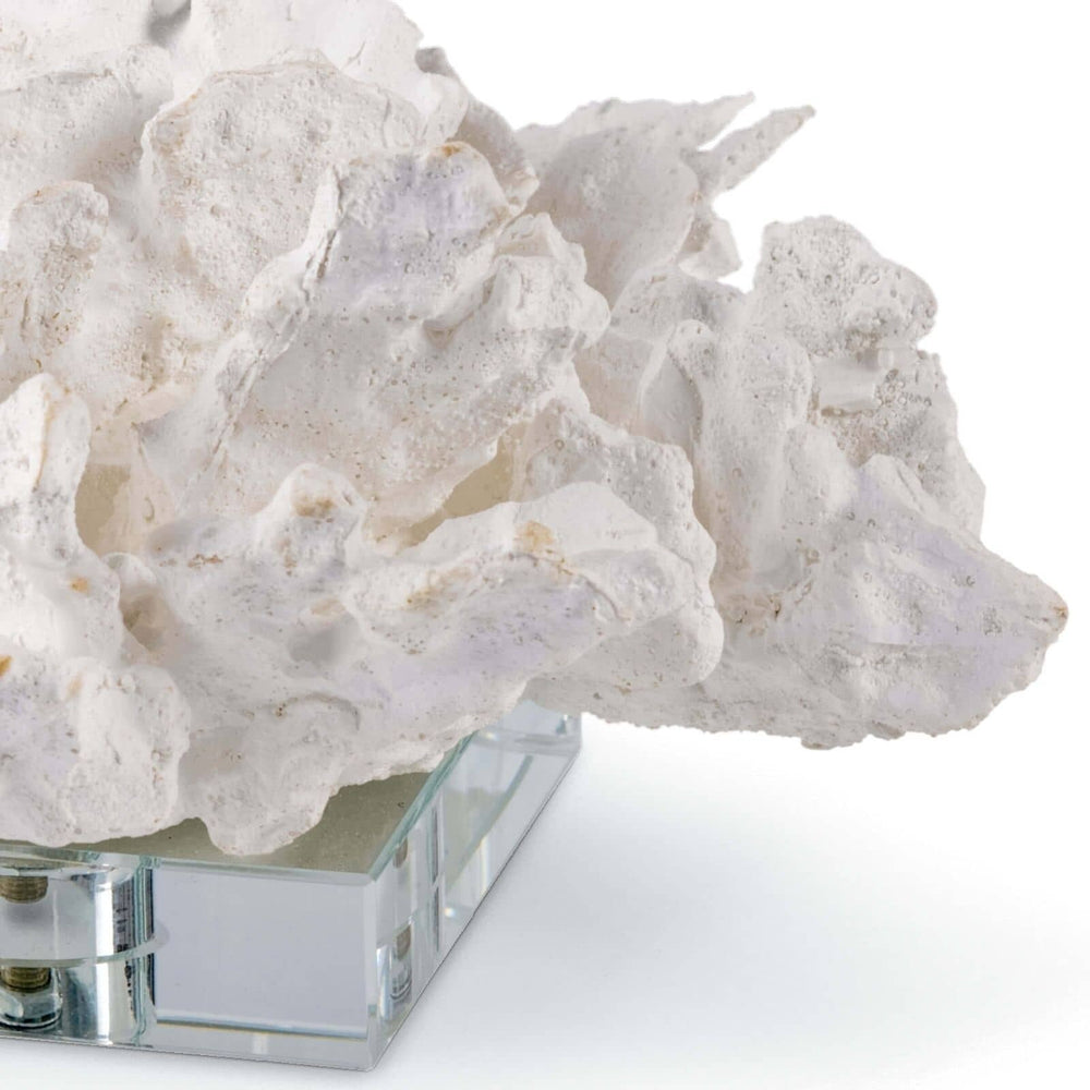 
                      
                        Flower Coral On Crystal Base (White).
                      
                    