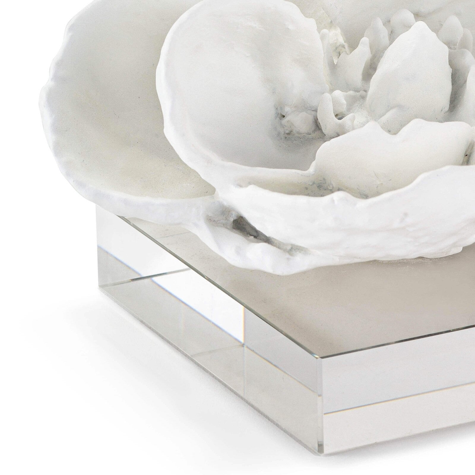 Regina Andrew Magnolia Objet - Thumbnail 3