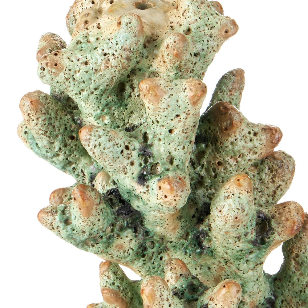 Staghorn Green Coral Object