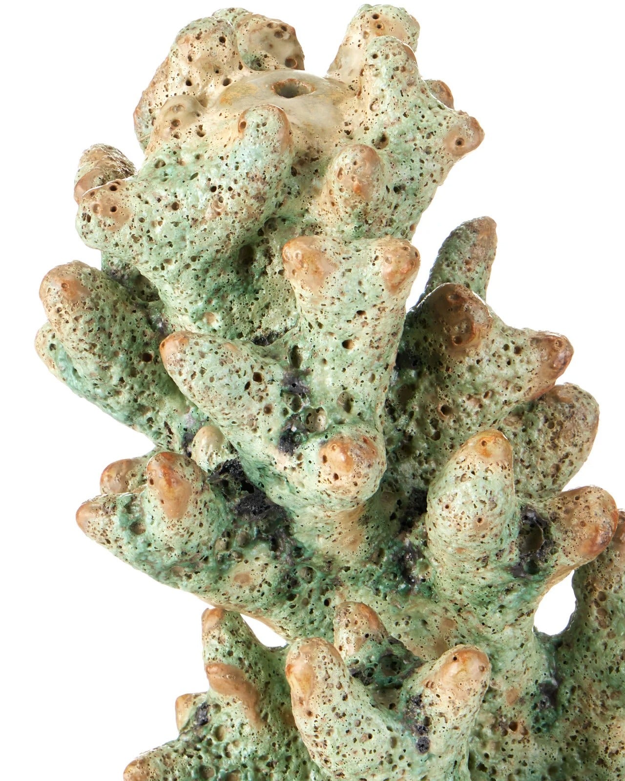 Staghorn Green Coral Object