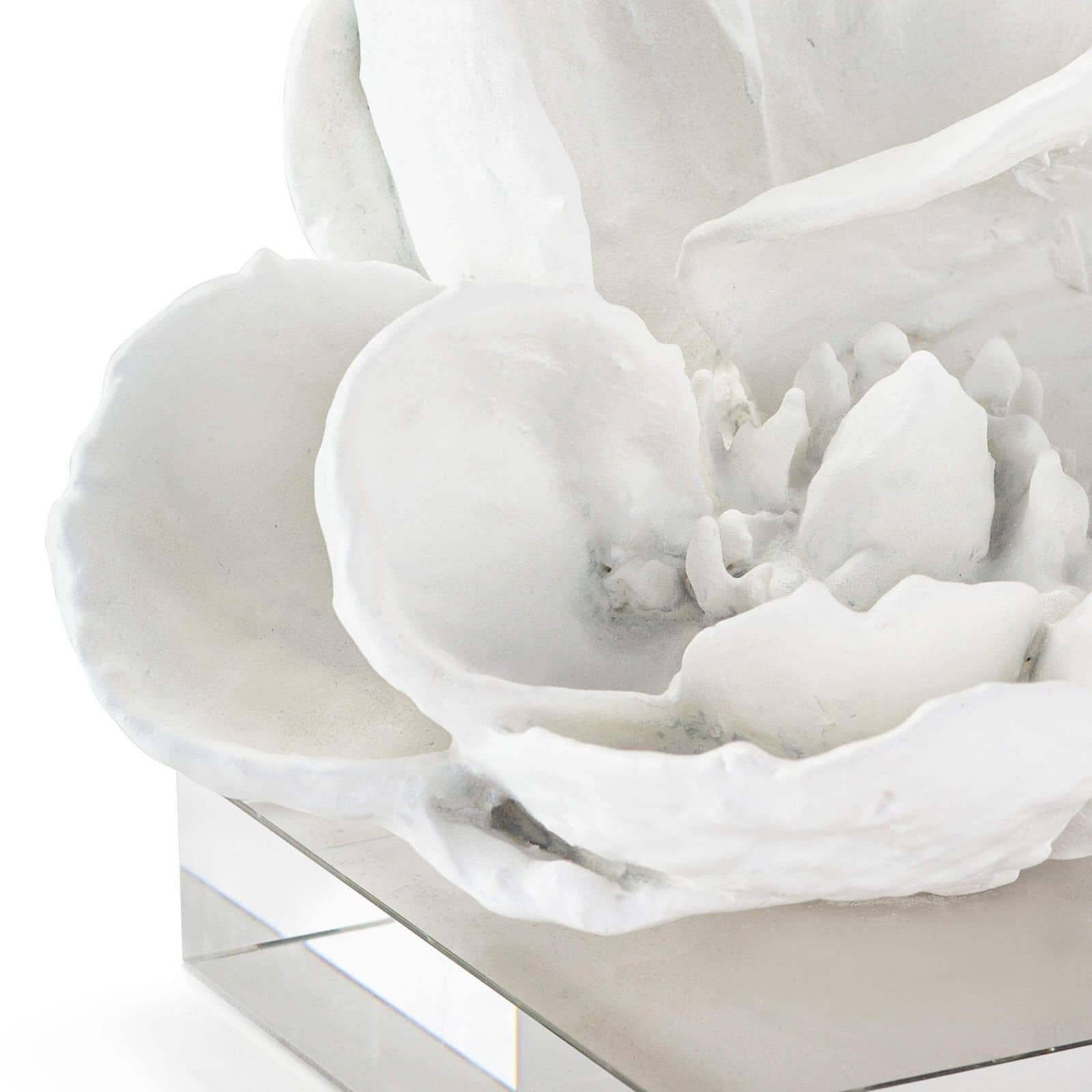 Regina Andrew Magnolia Objet - Thumbnail 4