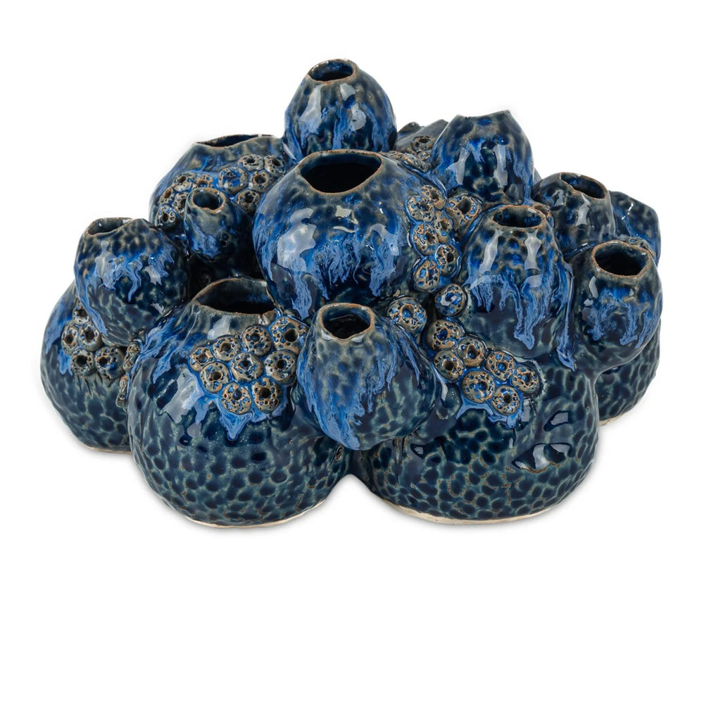 Sulawasi Blue Shells
