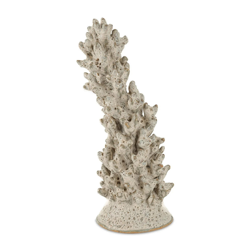 Staghorn White Coral Object