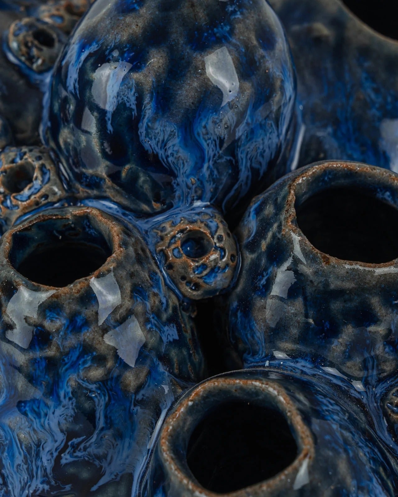 Sulawasi Blue Shells