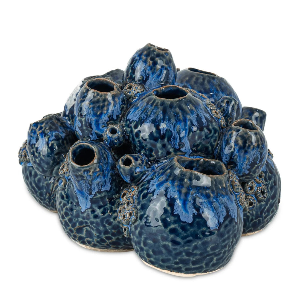 
                      
                        Sulawasi Blue Shells
                      
                    