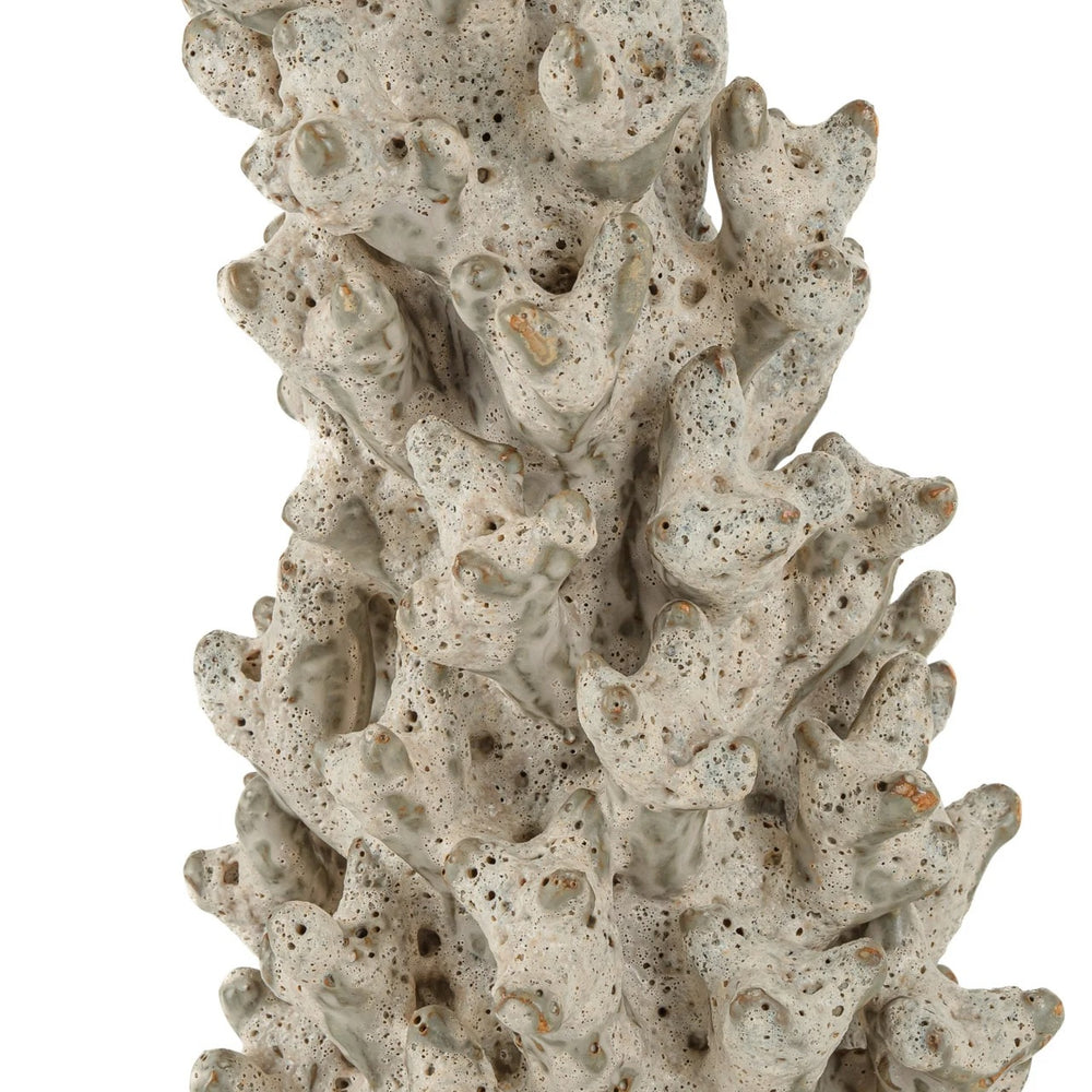 Staghorn White Coral Object