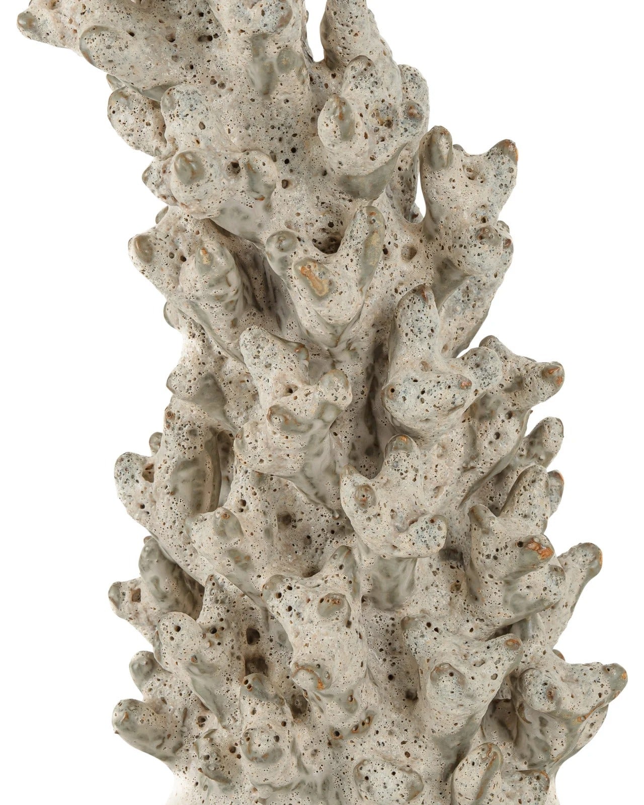 Staghorn White Coral Object