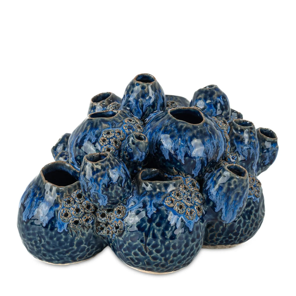 
                      
                        Sulawasi Blue Shells
                      
                    