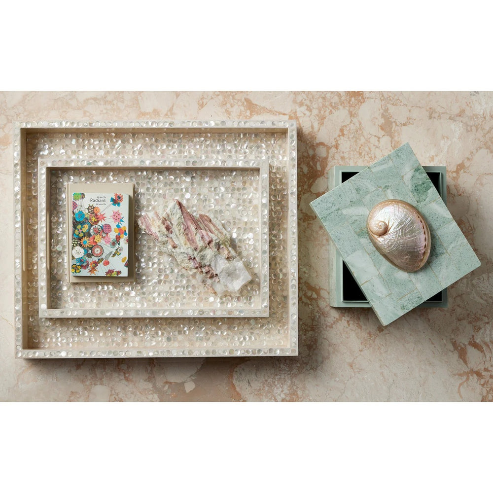 
                      
                        Gerri Dot Mother of Pearl Tray Set of 2
                      
                    