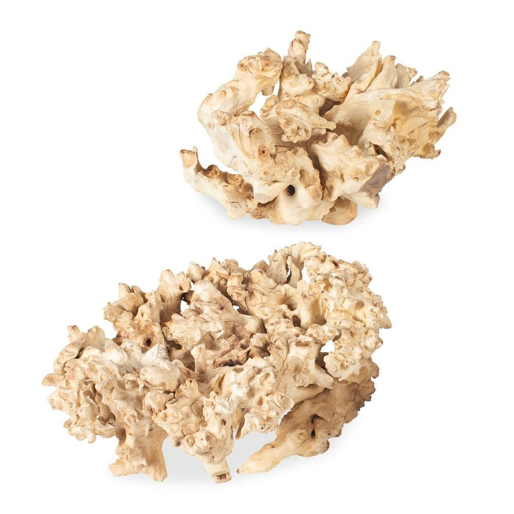 Elemental Root Outdoor Sculptures - Set of 2