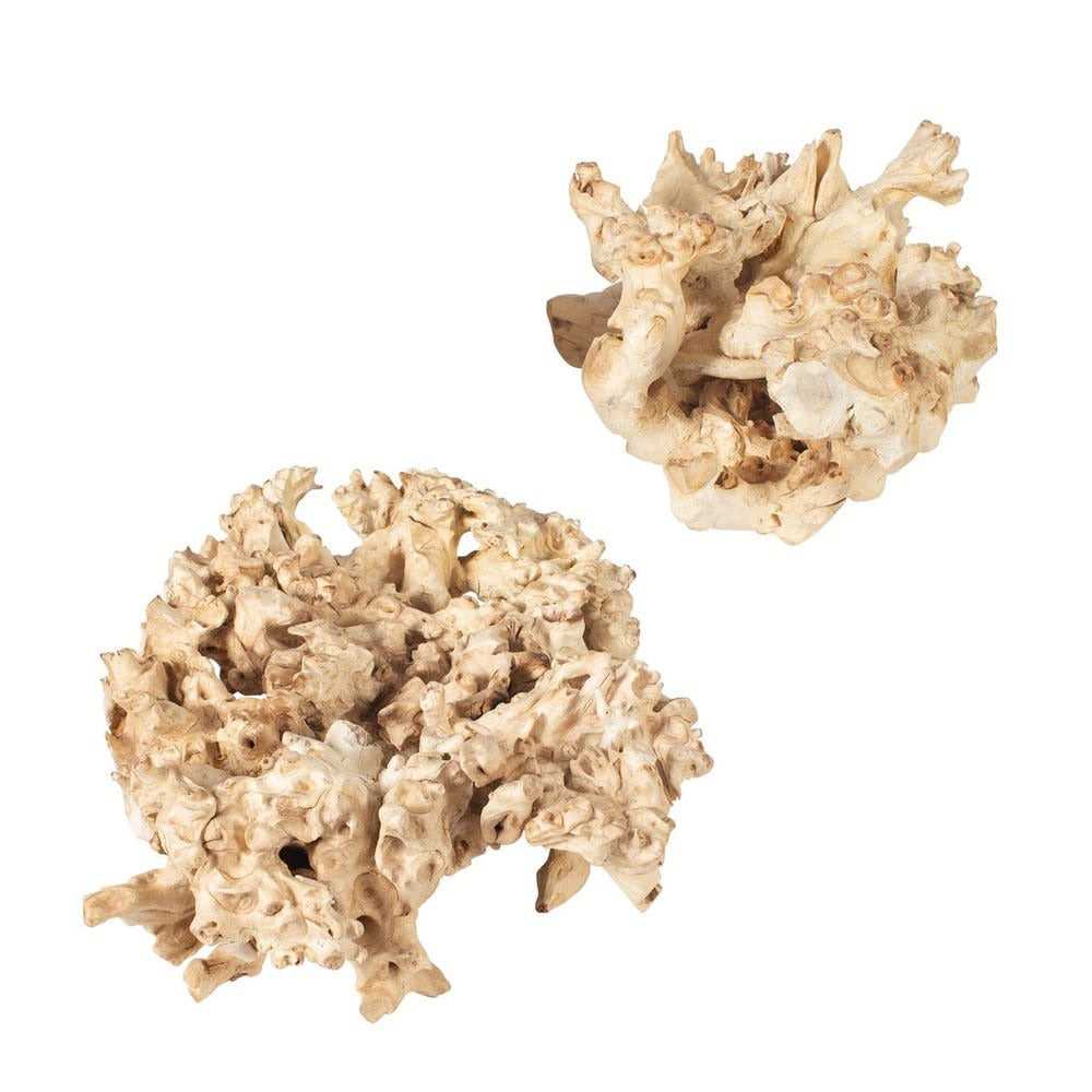 
                      
                        Elemental Root Outdoor Sculptures - Set of 2
                      
                    