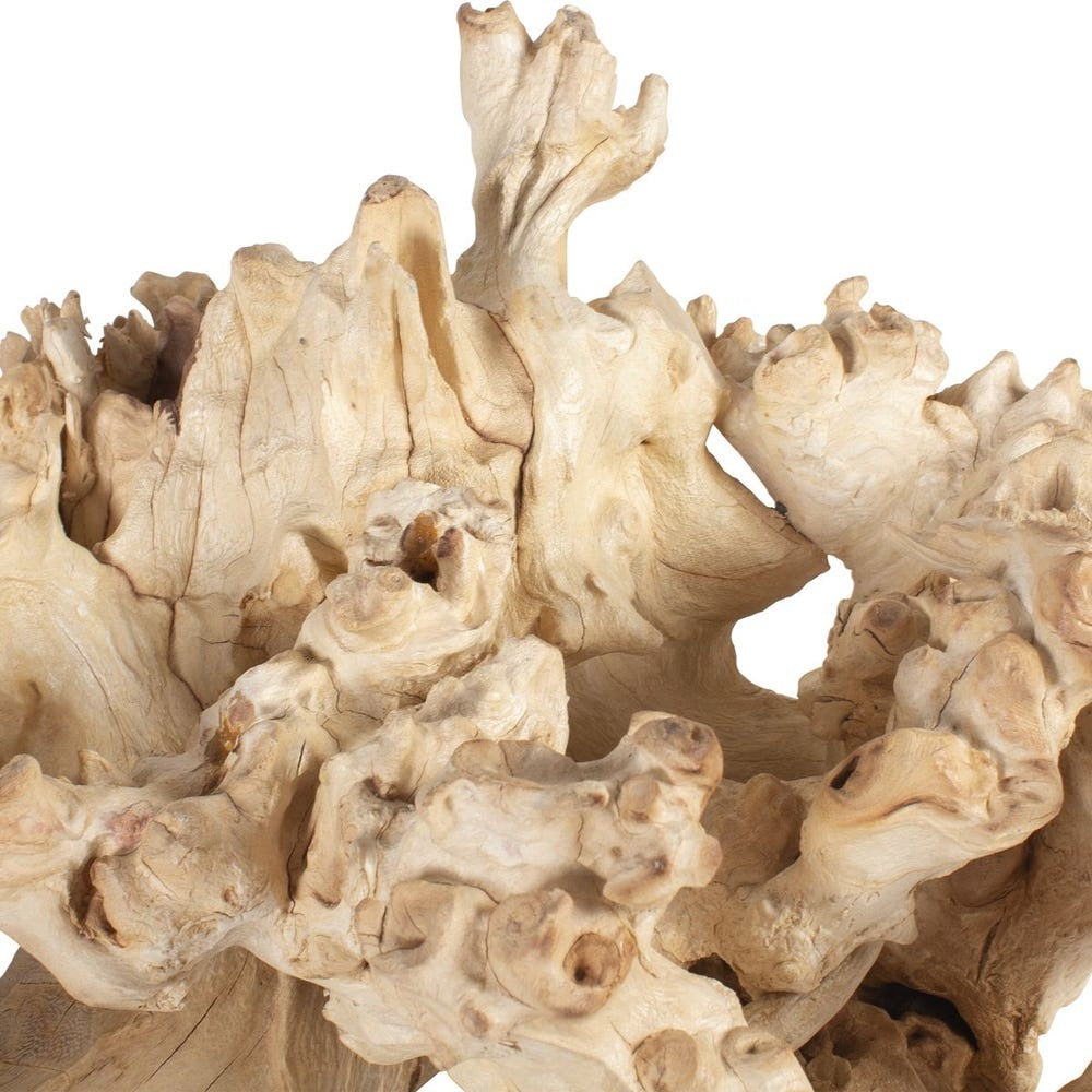 Elemental Root Outdoor Sculptures - Set of 2