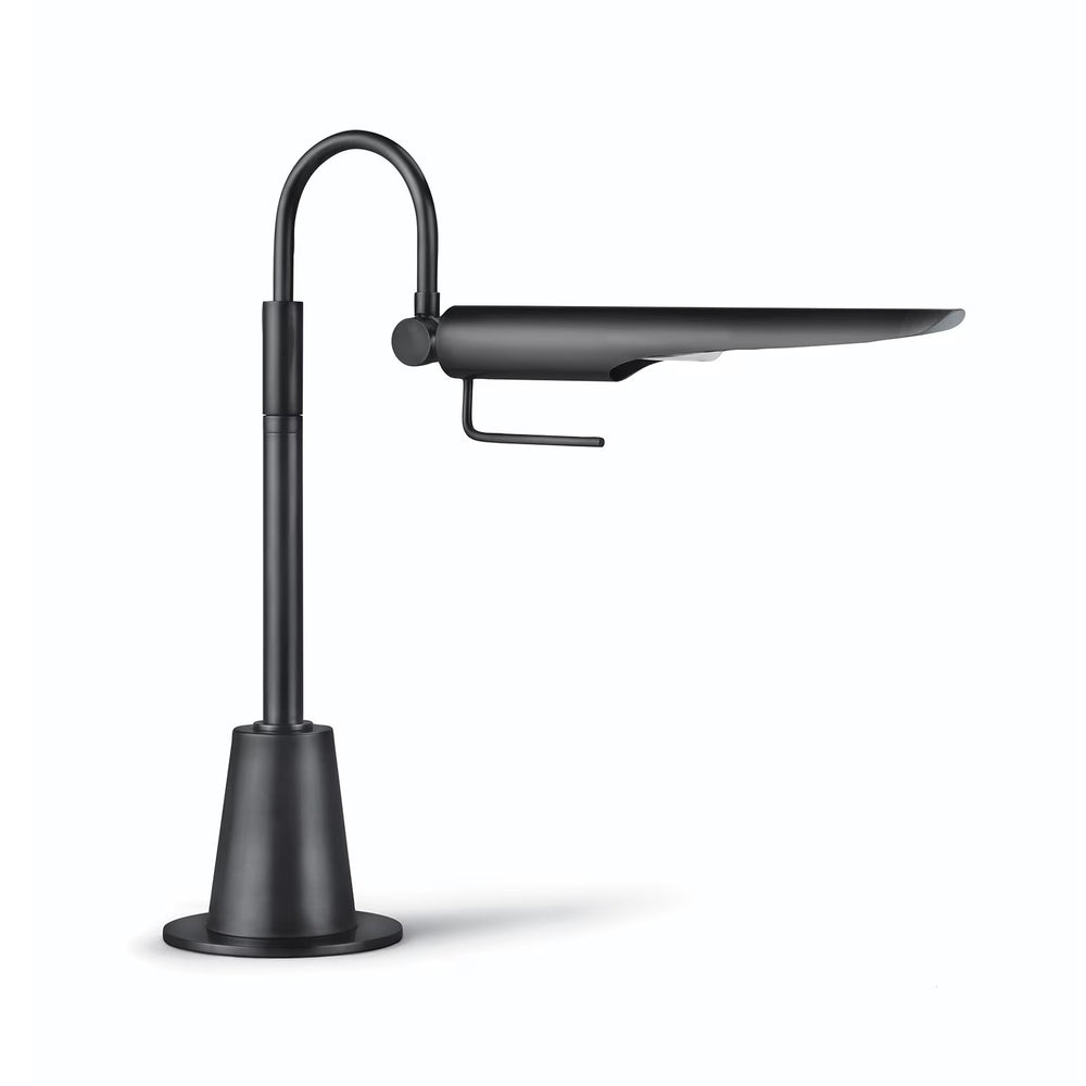 Raven Task Lamp (Oil Rubbed Bronze)